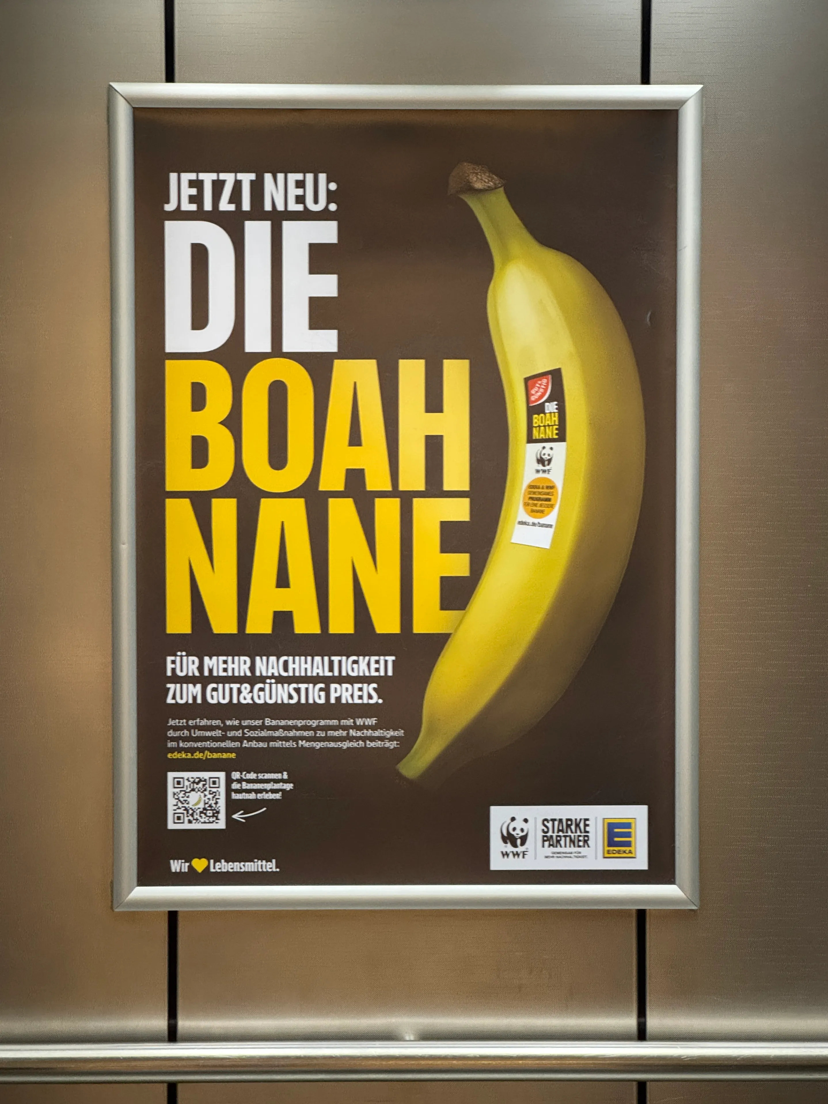 GUT&GÜNSTIG BOAHNANE × WWF – Visual 3