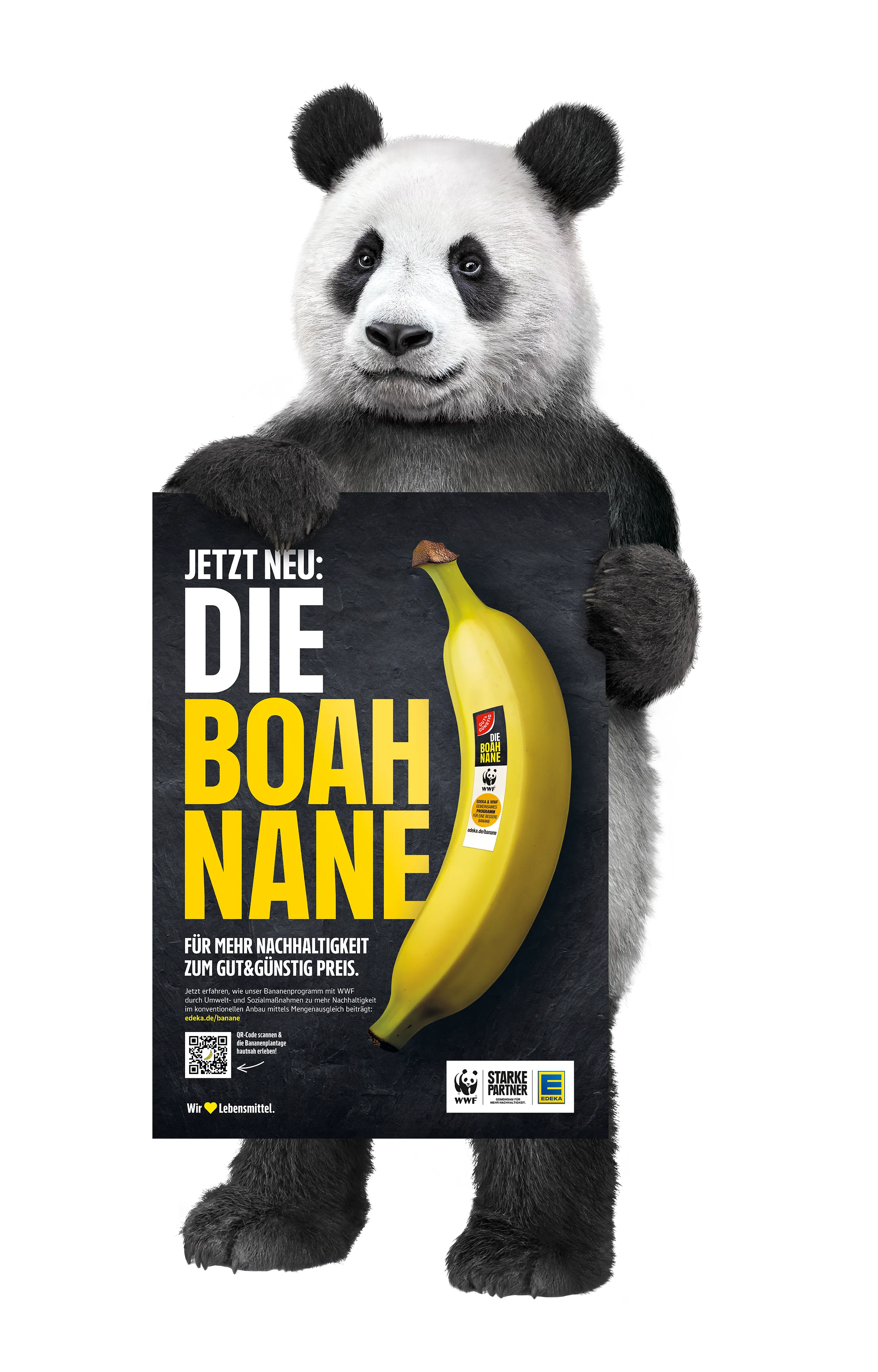 GUT&GÜNSTIG BOAHNANE × WWF – Visual 6