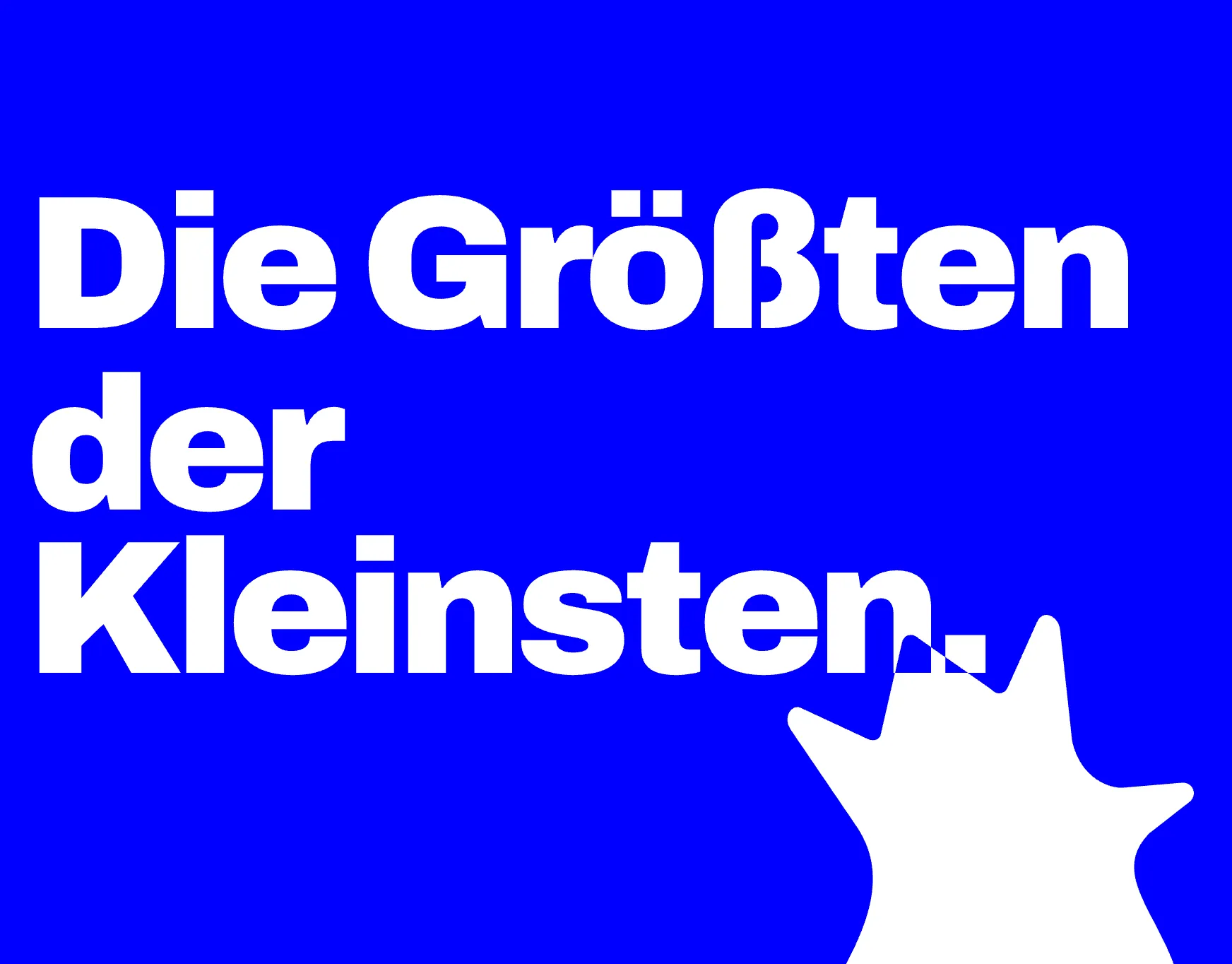 Meisenkaiser
App-Studio – Visual 2