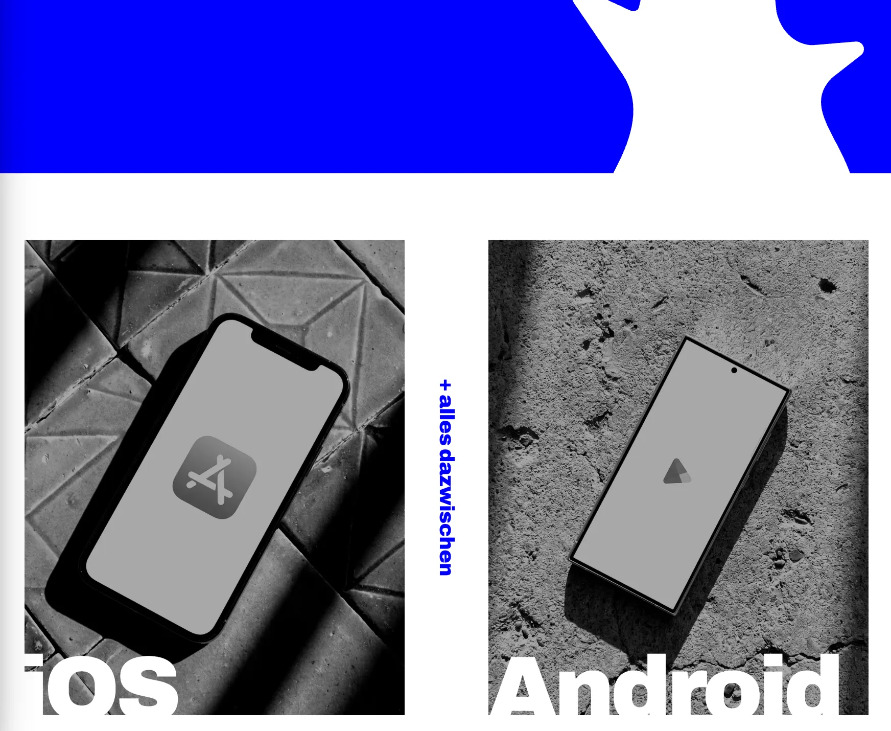 Meisenkaiser
App-Studio – Visual 4